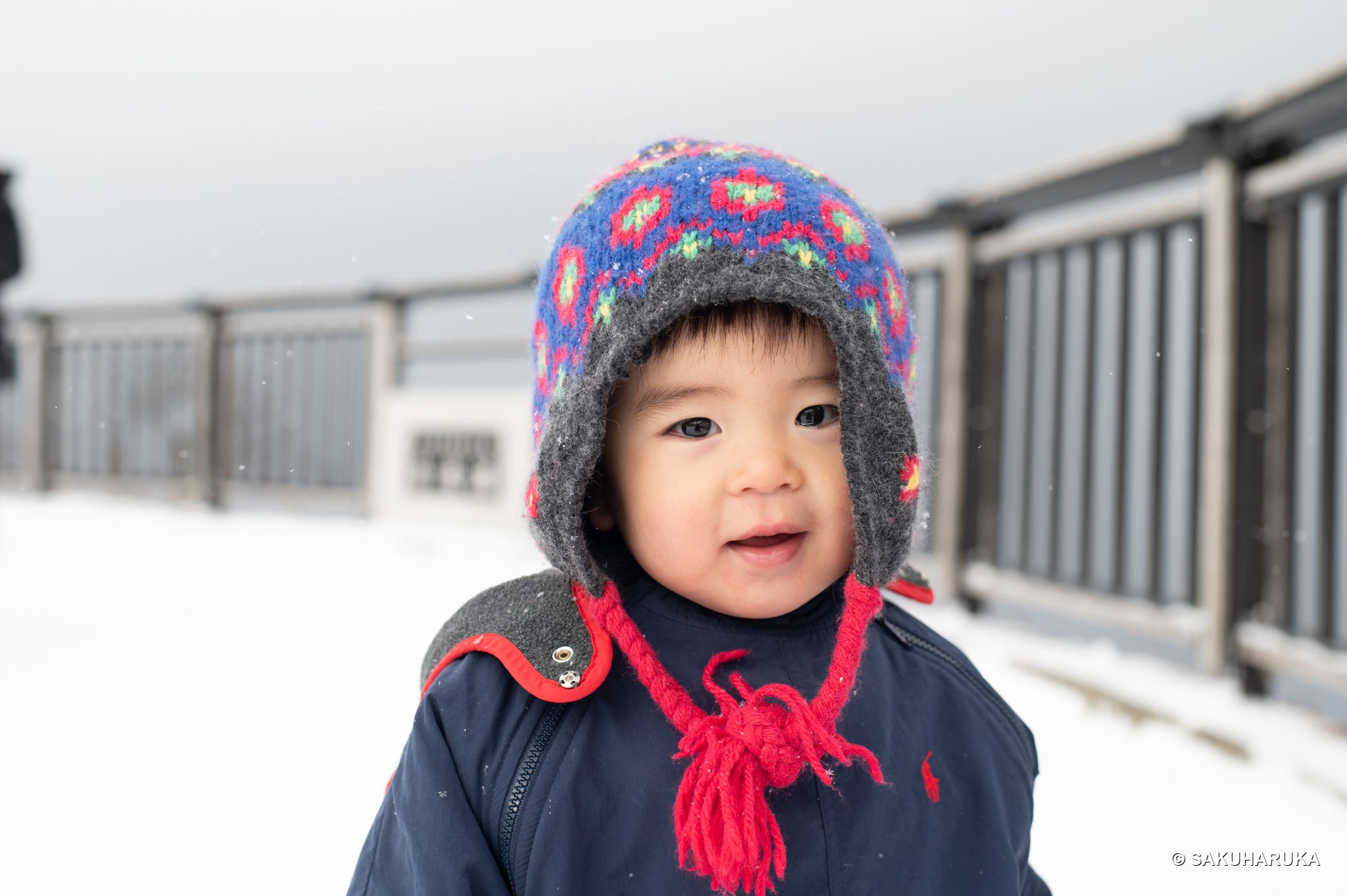 Hokkaido 22