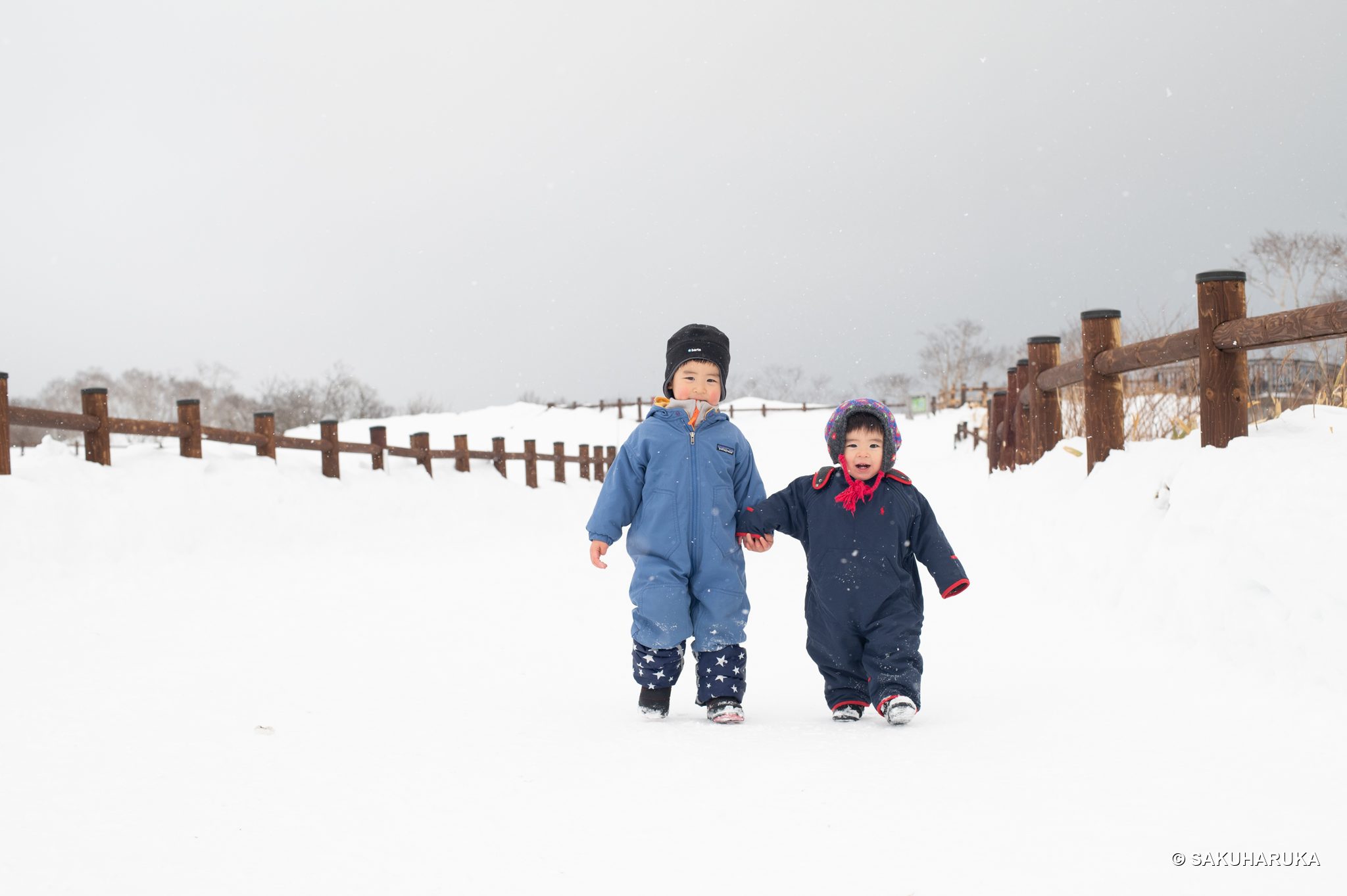 Hokkaido 29