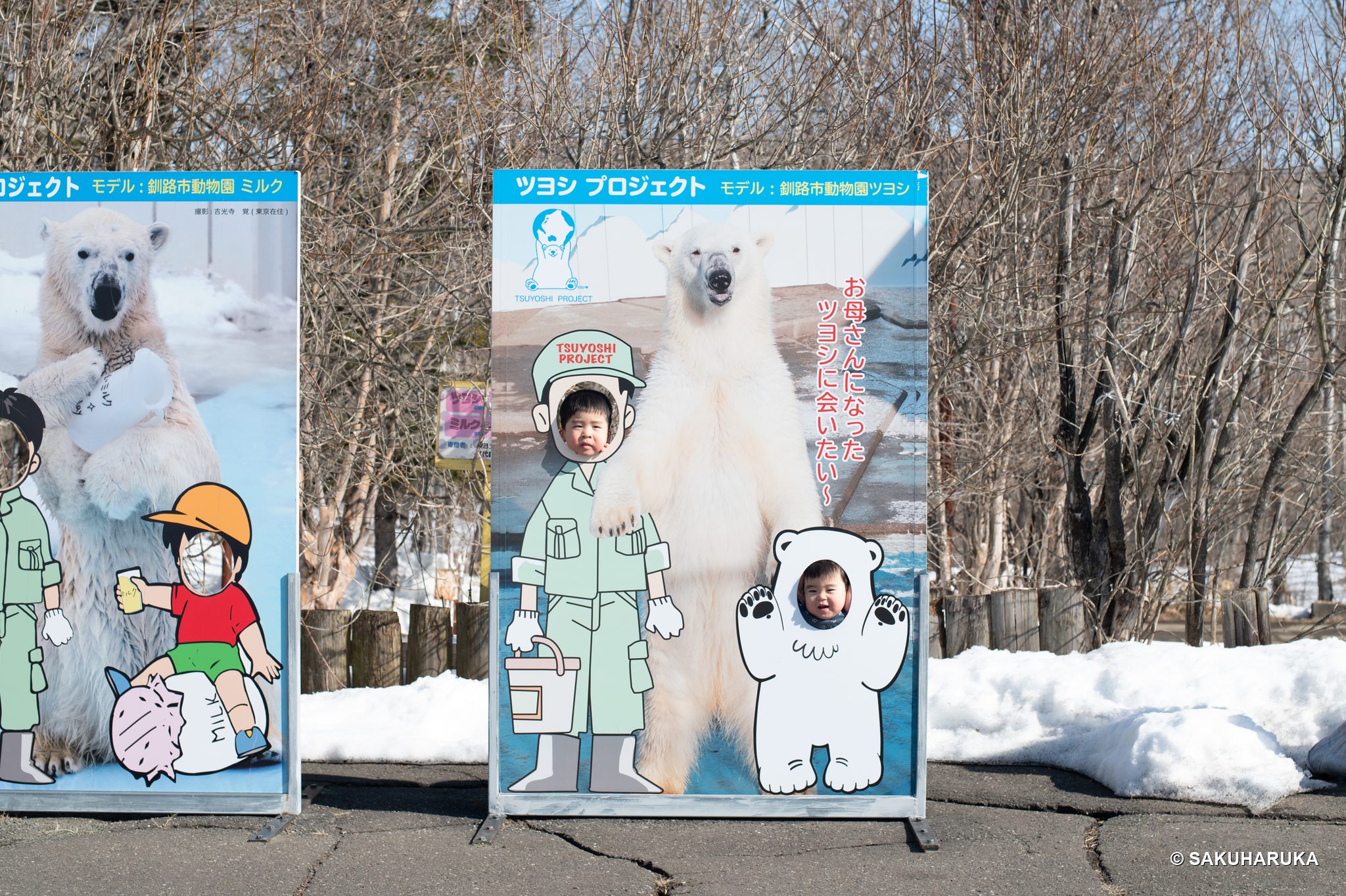 Hokkaido 24
