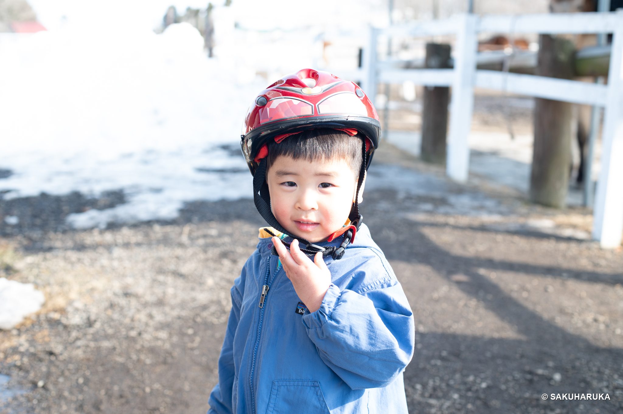 Hokkaido 26