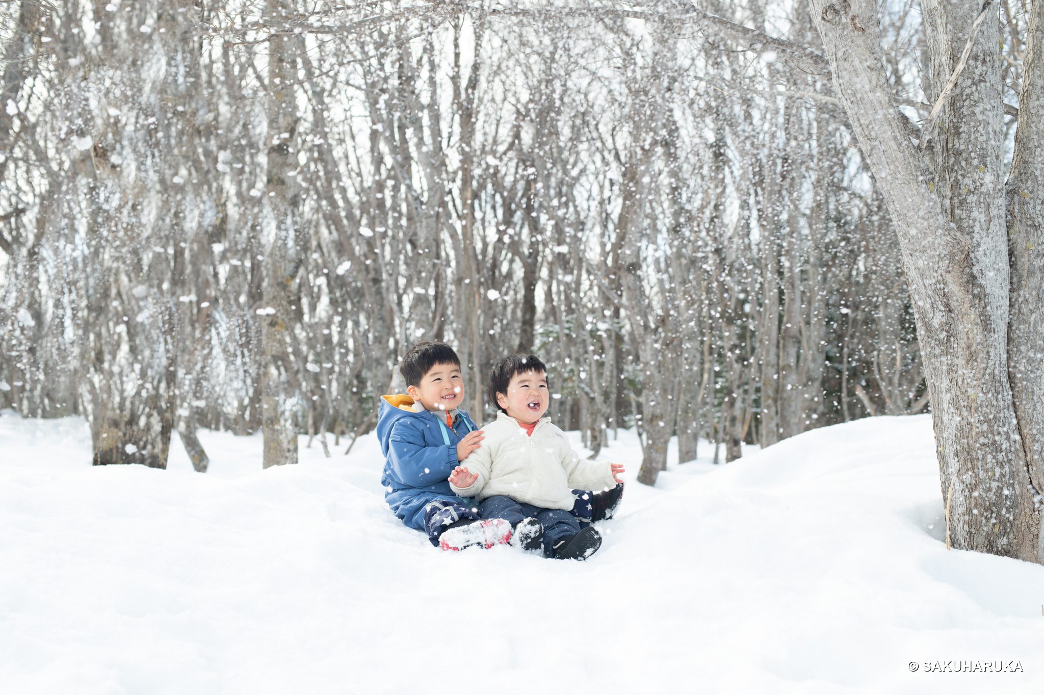 Hokkaido 51