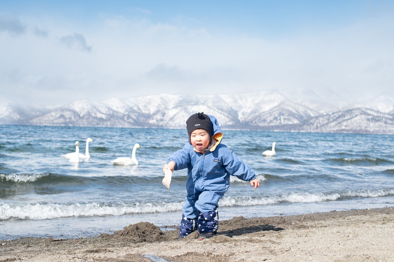 冬の湖のほとりで白鳥を見つめる、防寒着姿の小さな男の子