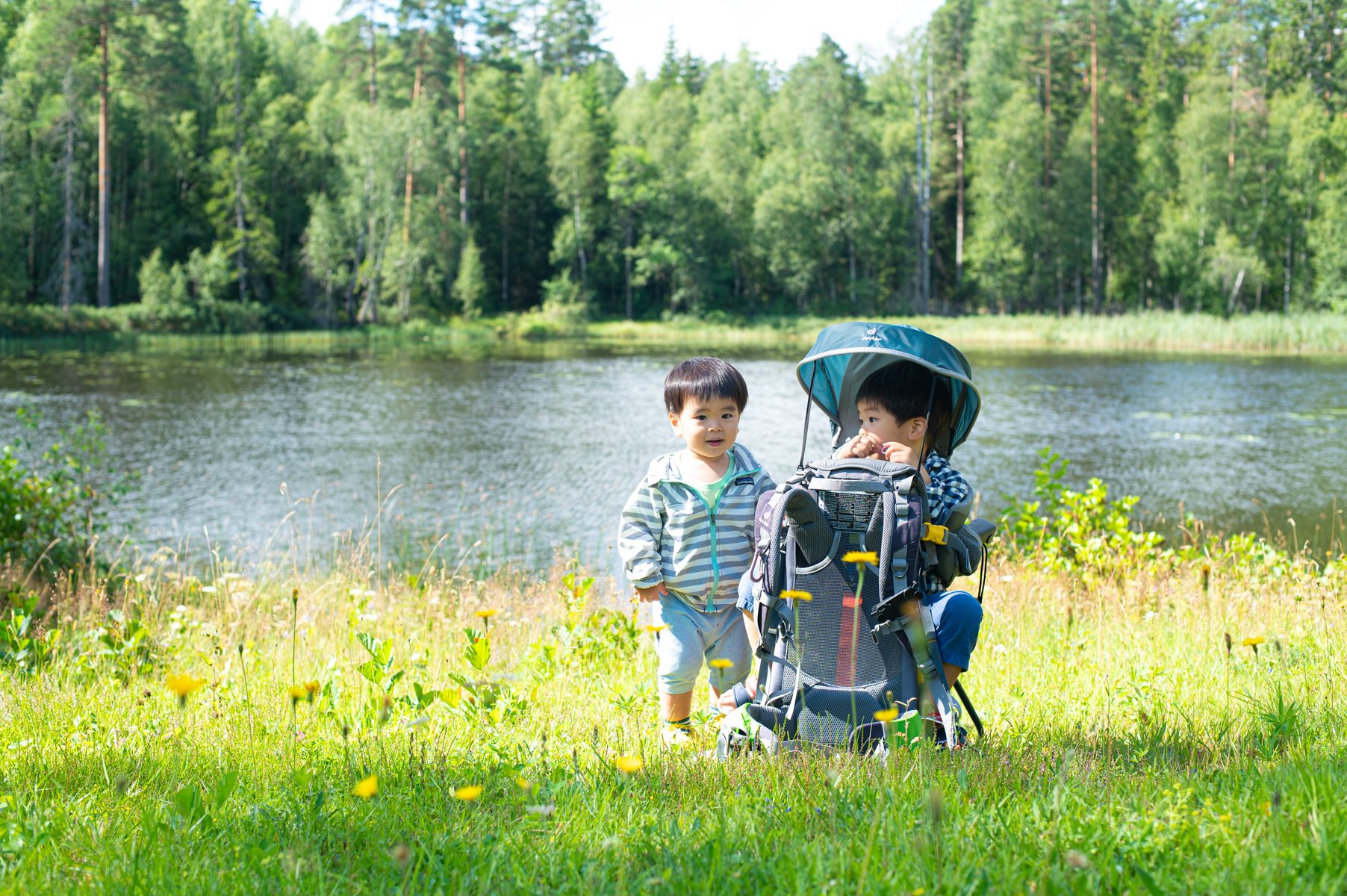 森でブルーベリー摘み、海辺のキャンプ場へ（スウェーデンDAY19） ― 記事のカバー写真