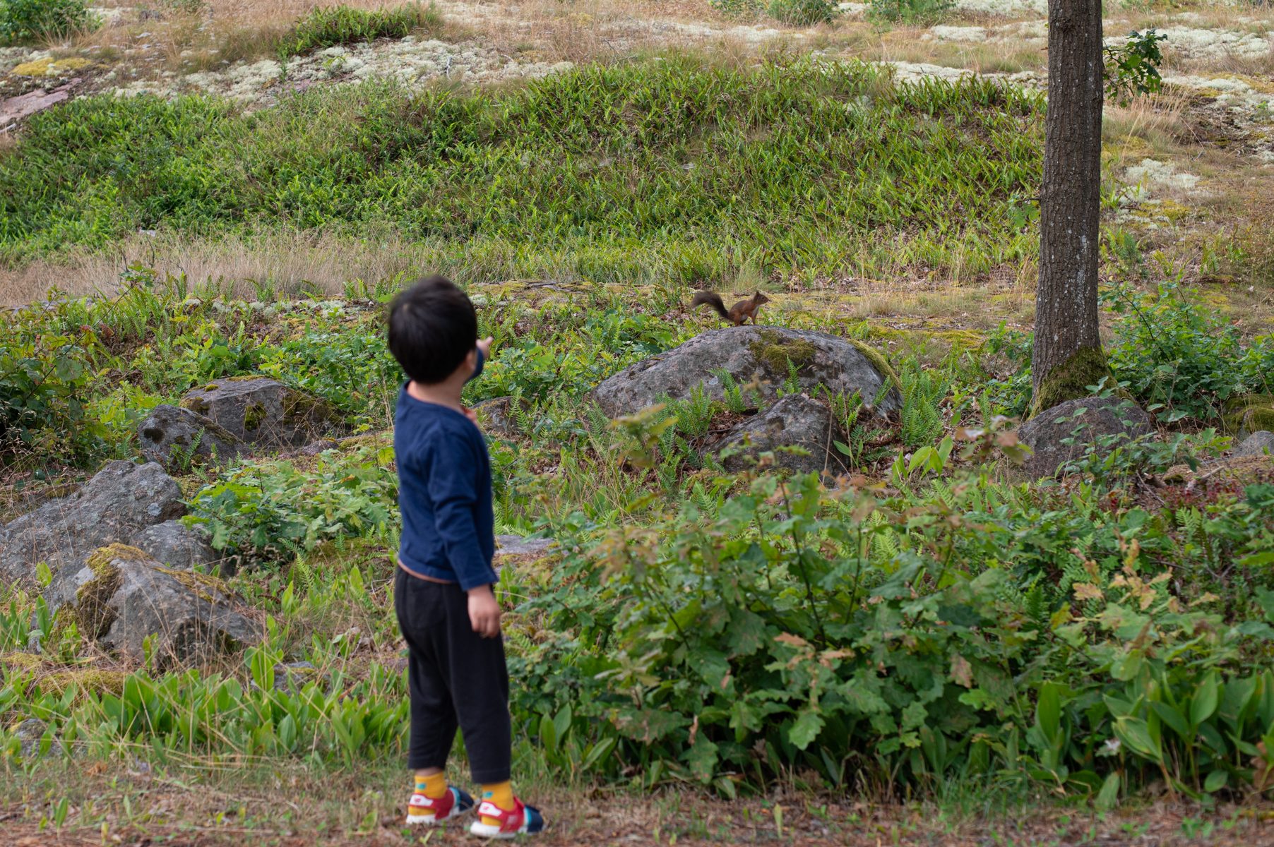 7:53／みどりの丘で