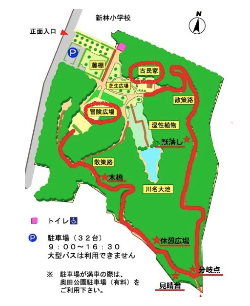 [No1]新林公園を歩く ― 記事のカバー写真