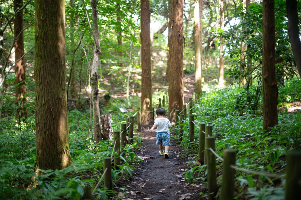 [No1]新林公園を歩く 12