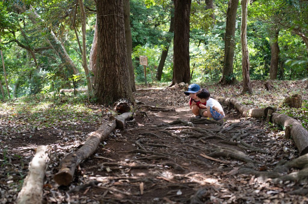 [No1]新林公園を歩く 15