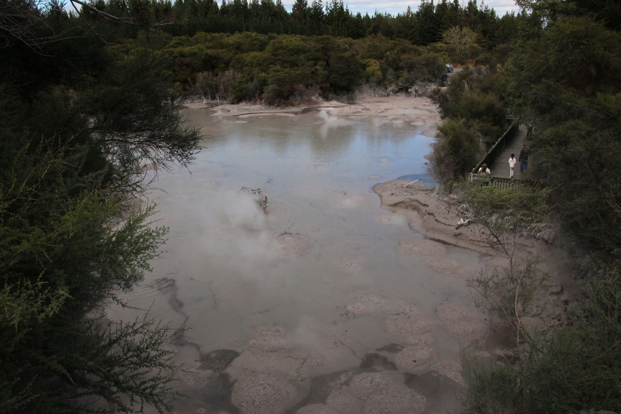灰色の泥と蒸気が広がるWai-O-TapuのMud Pool