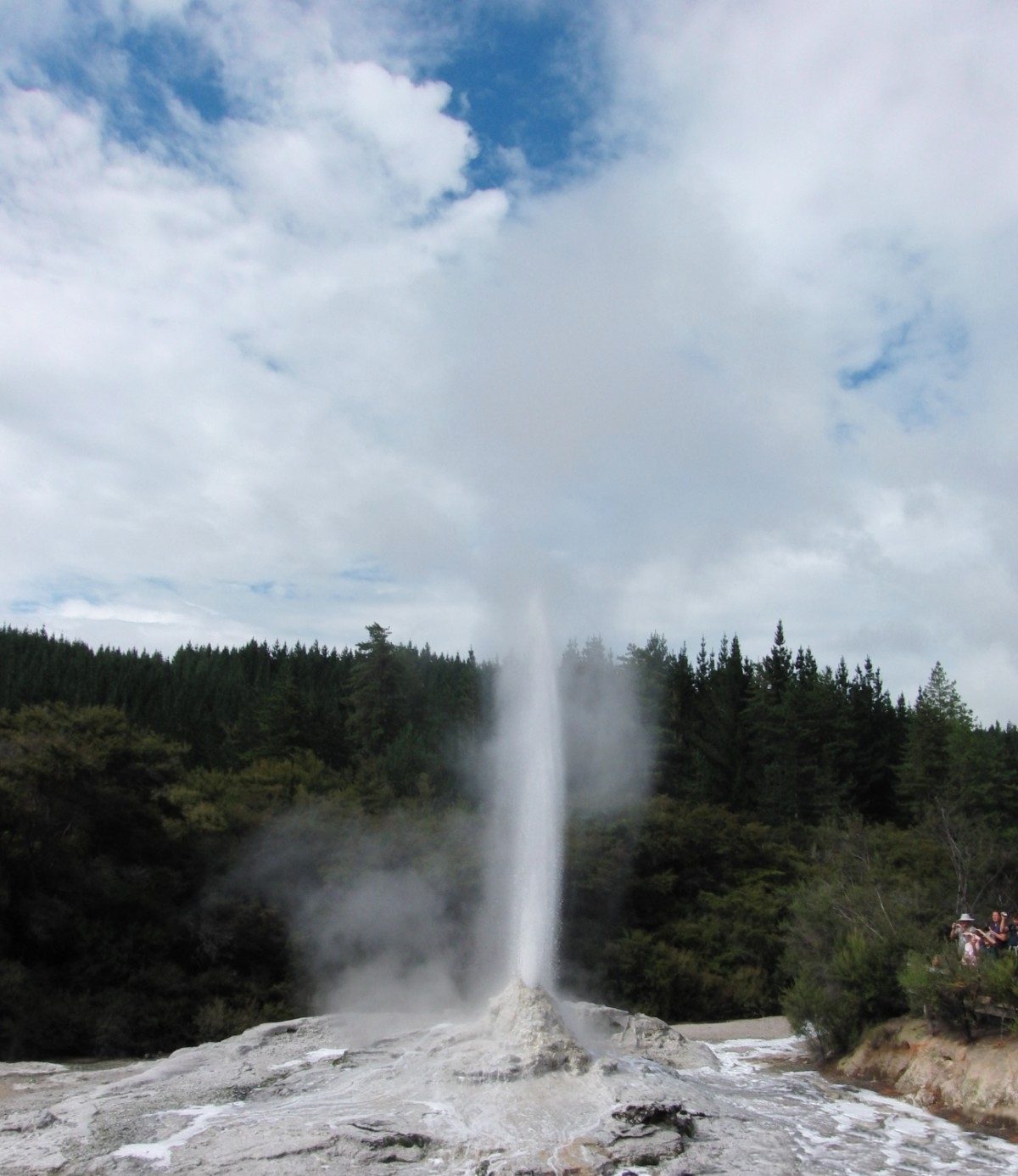 白い湯と蒸気を高く噴き上げるLady Knox Geyser