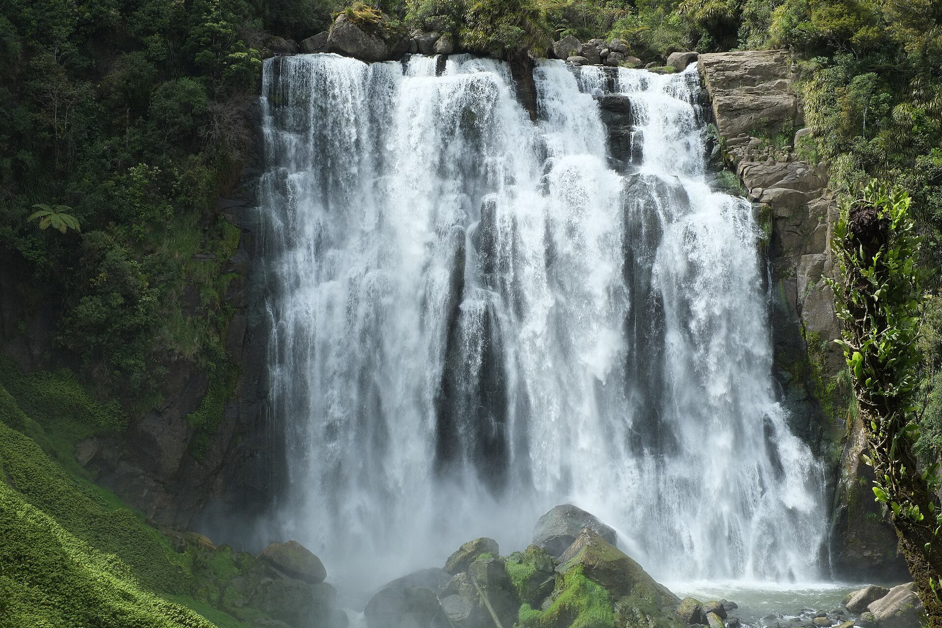緑の森に囲まれ、岩壁を幅広く流れ落ちるMarokopa Falls