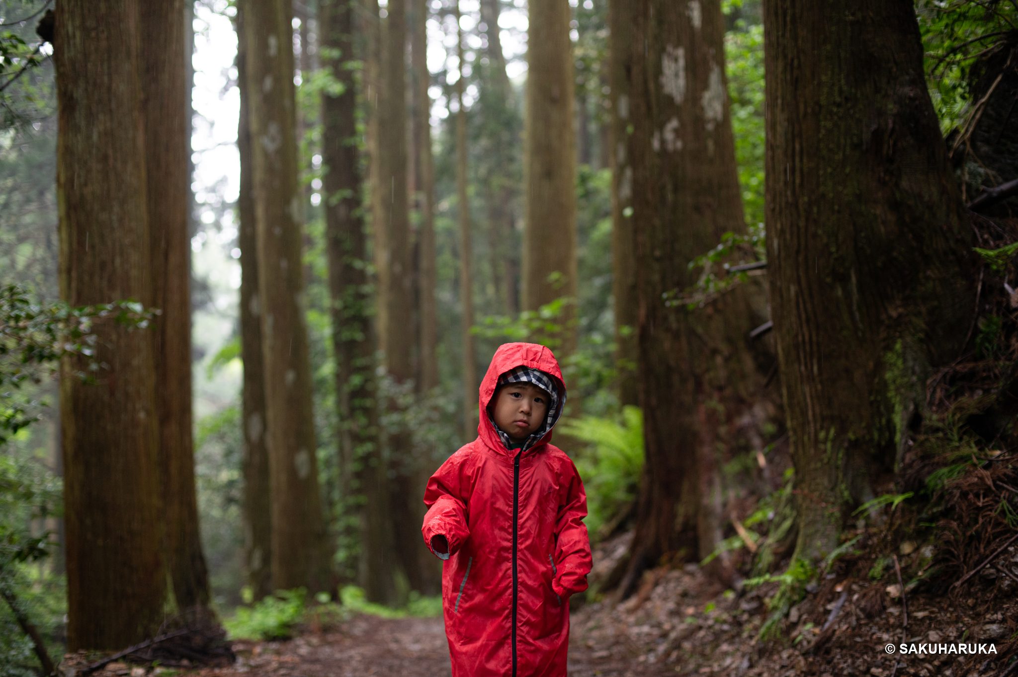 Shimane 3