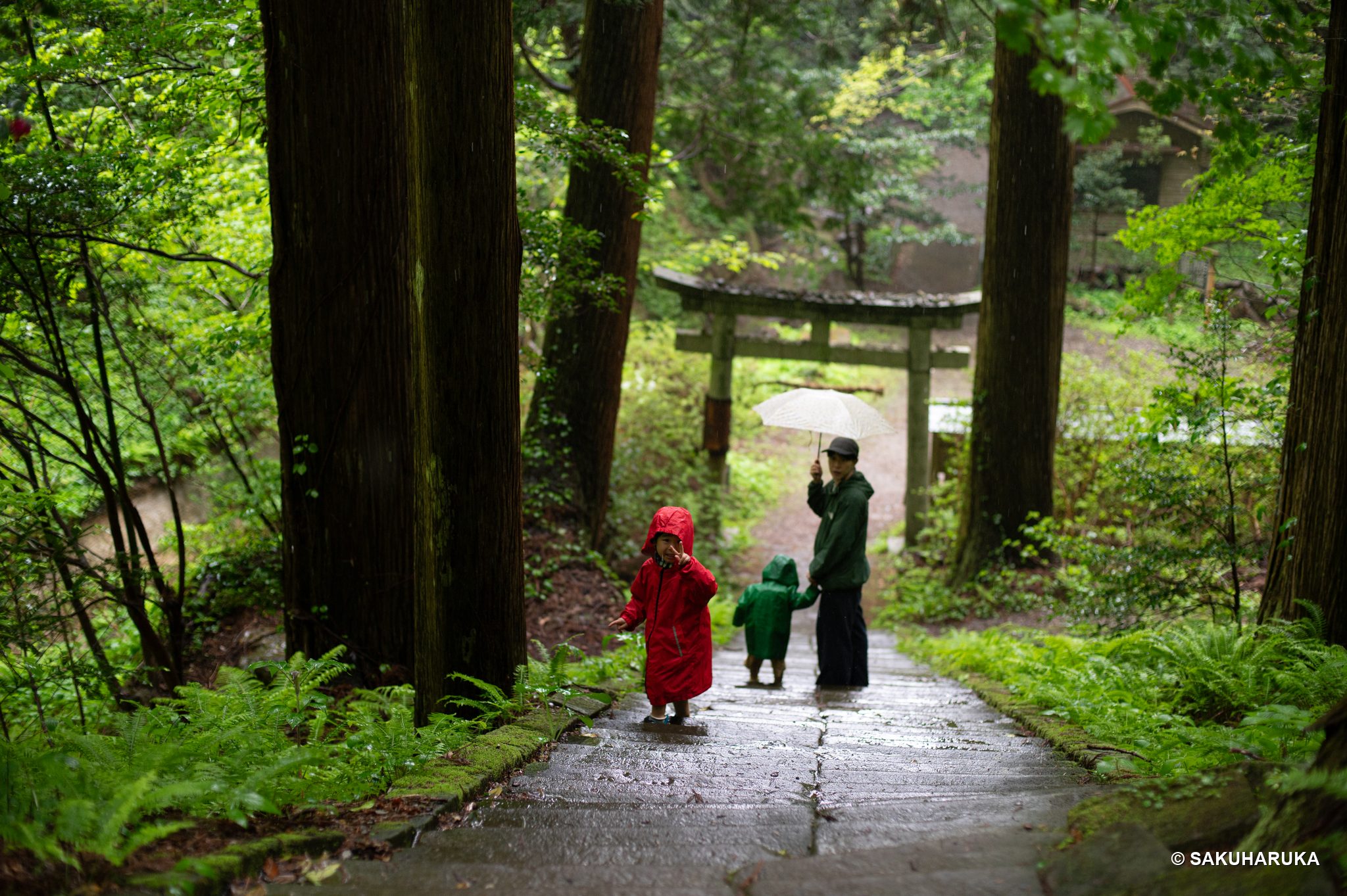 Shimane 4