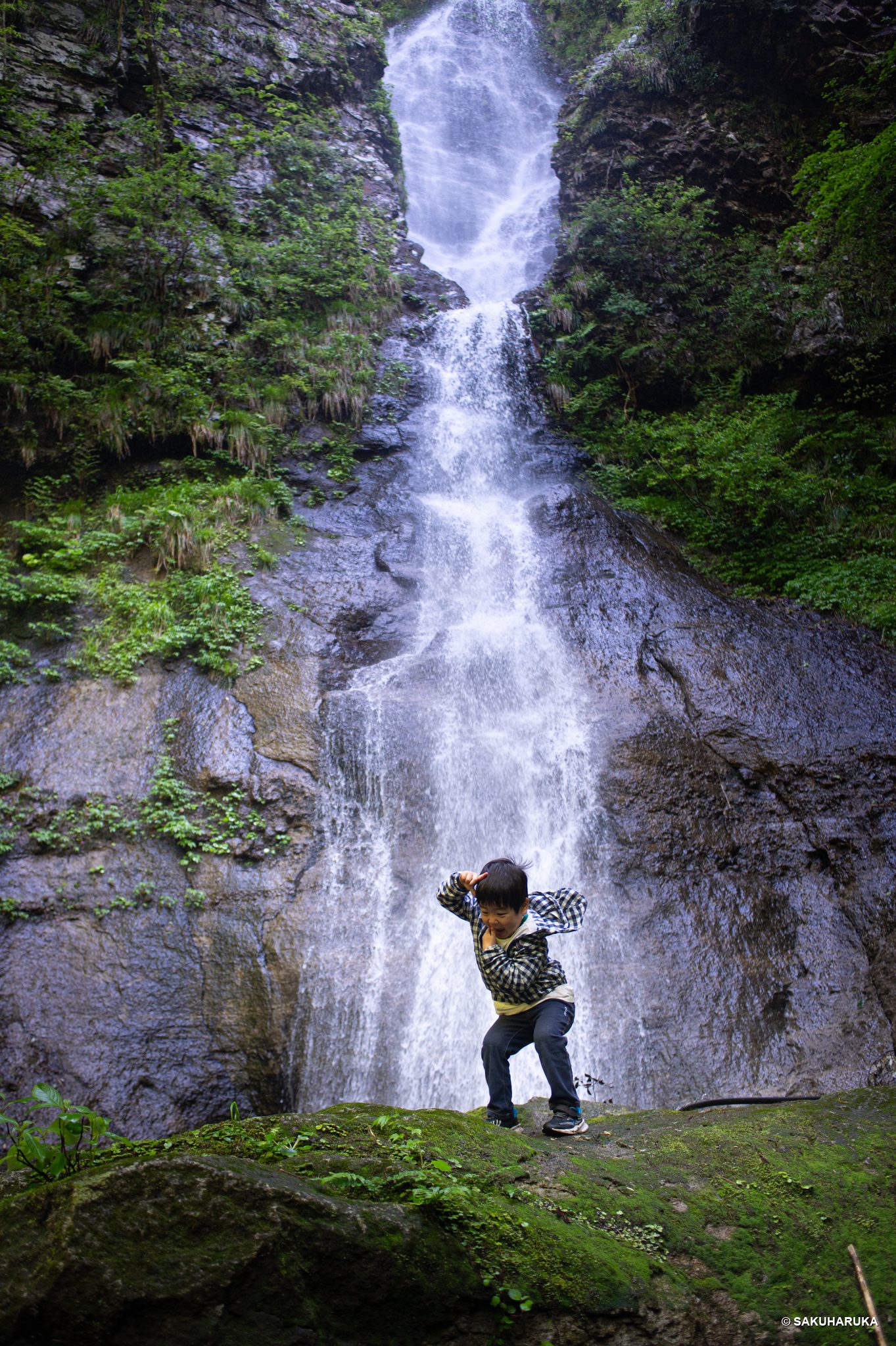 Shimane 14