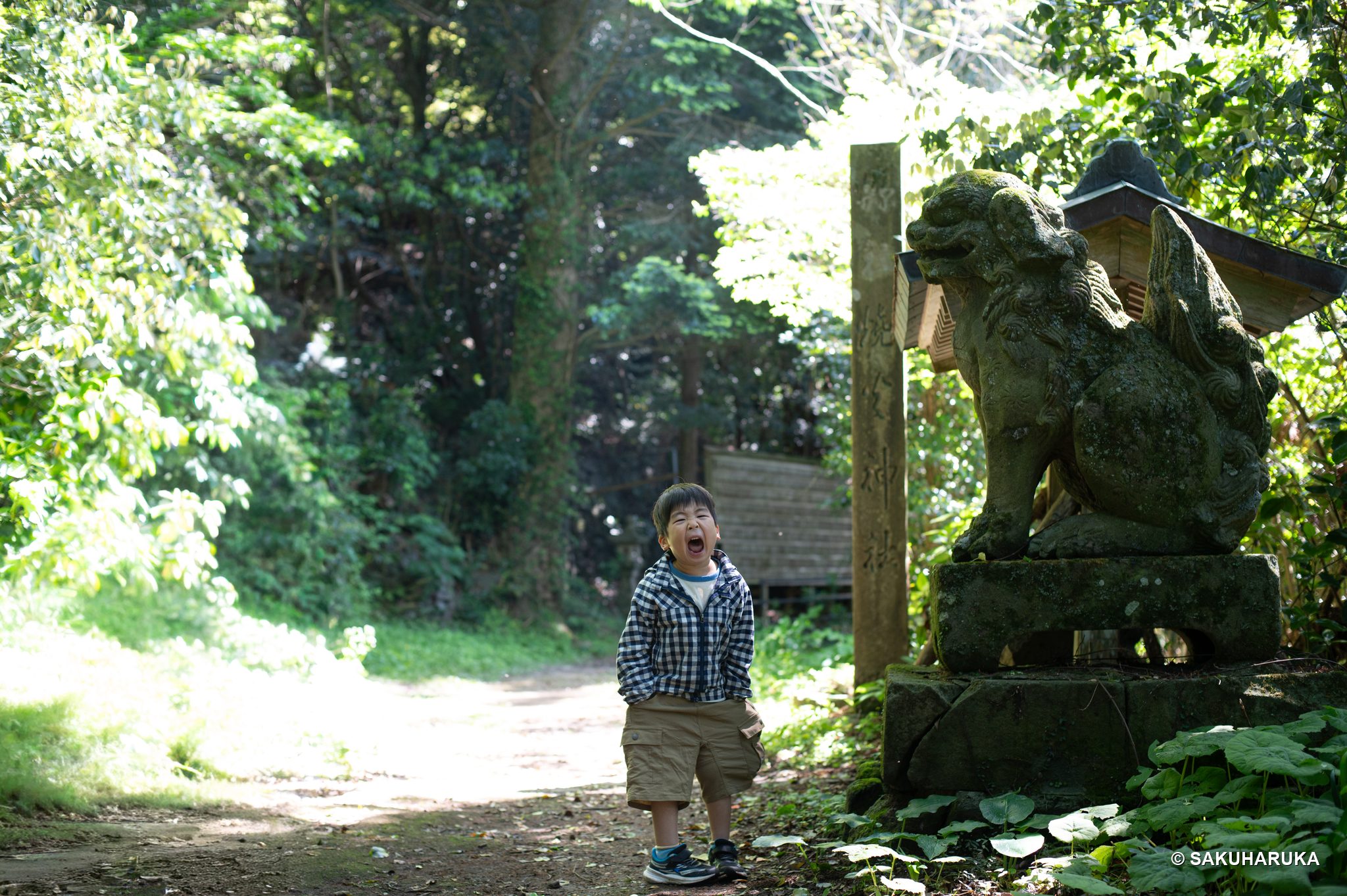 Shimane 20