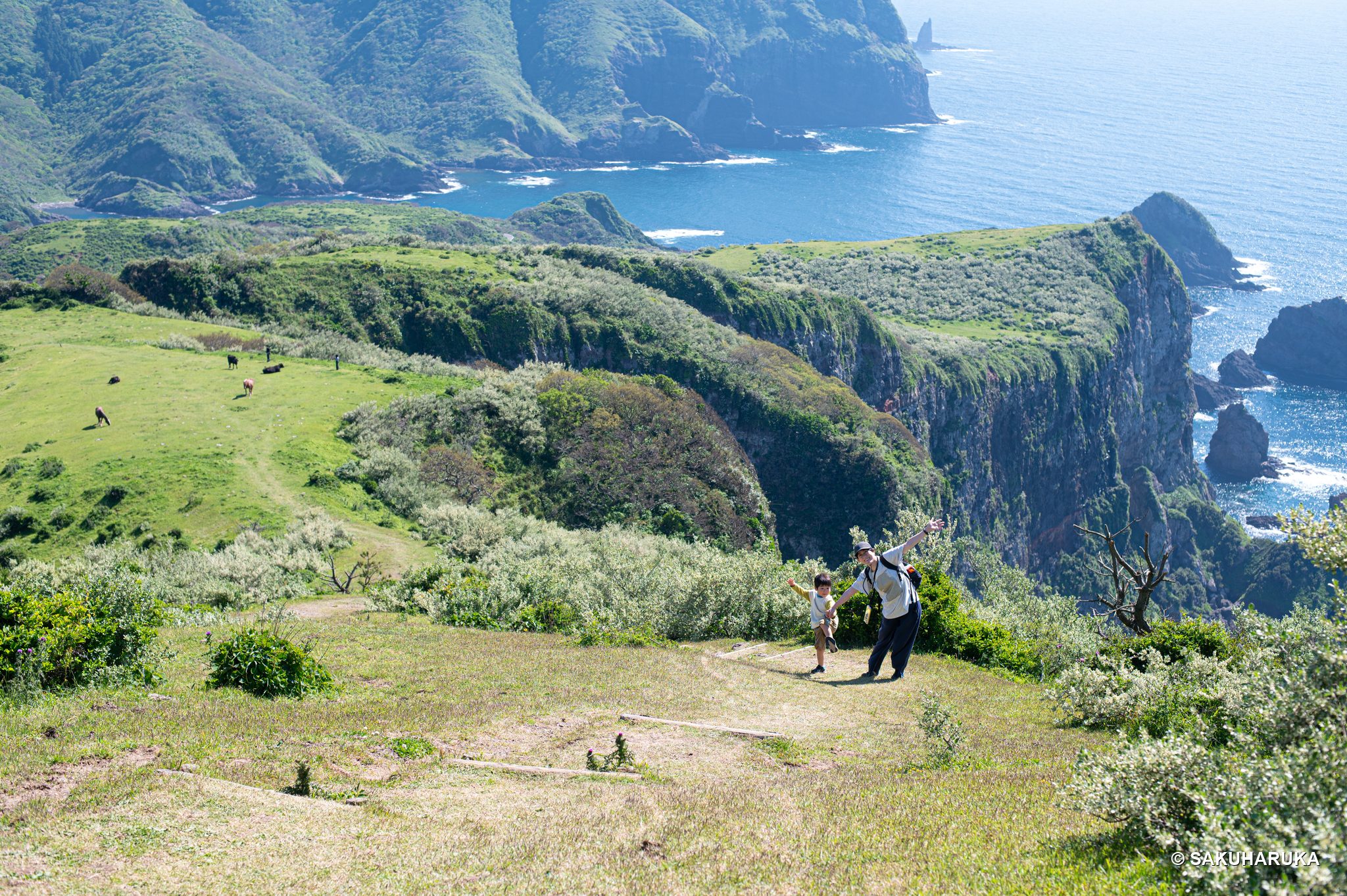 Shimane 28