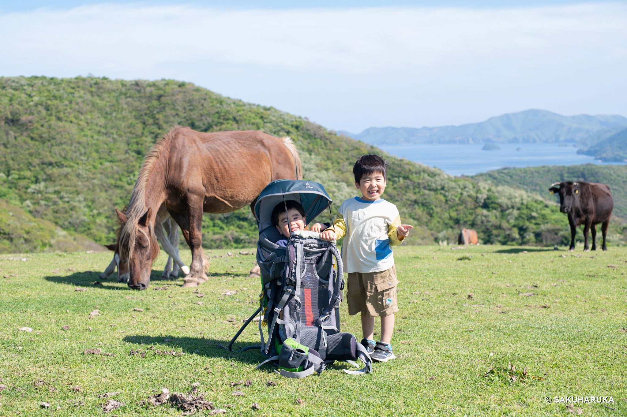 Shimane 31