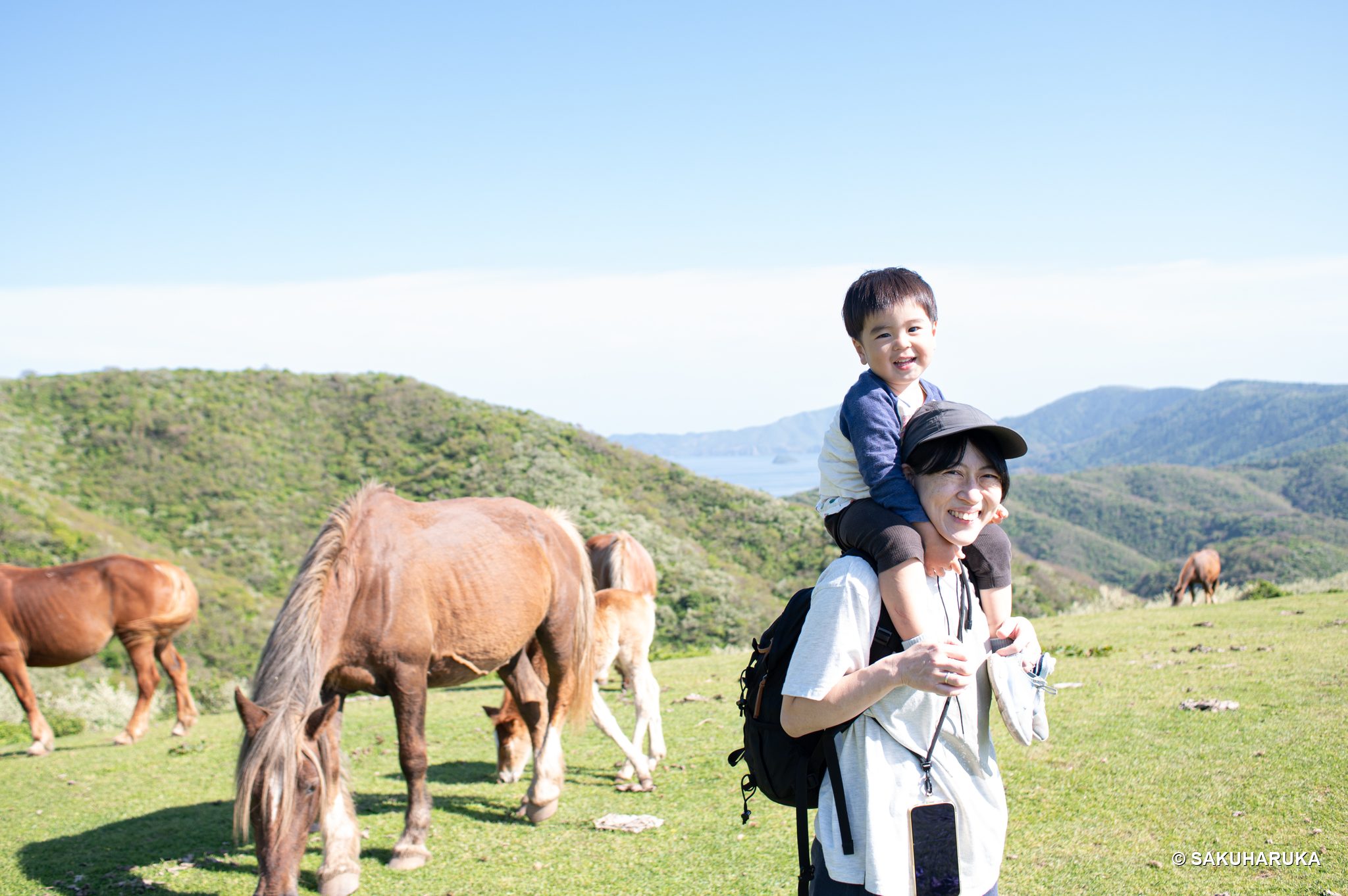 Shimane 33