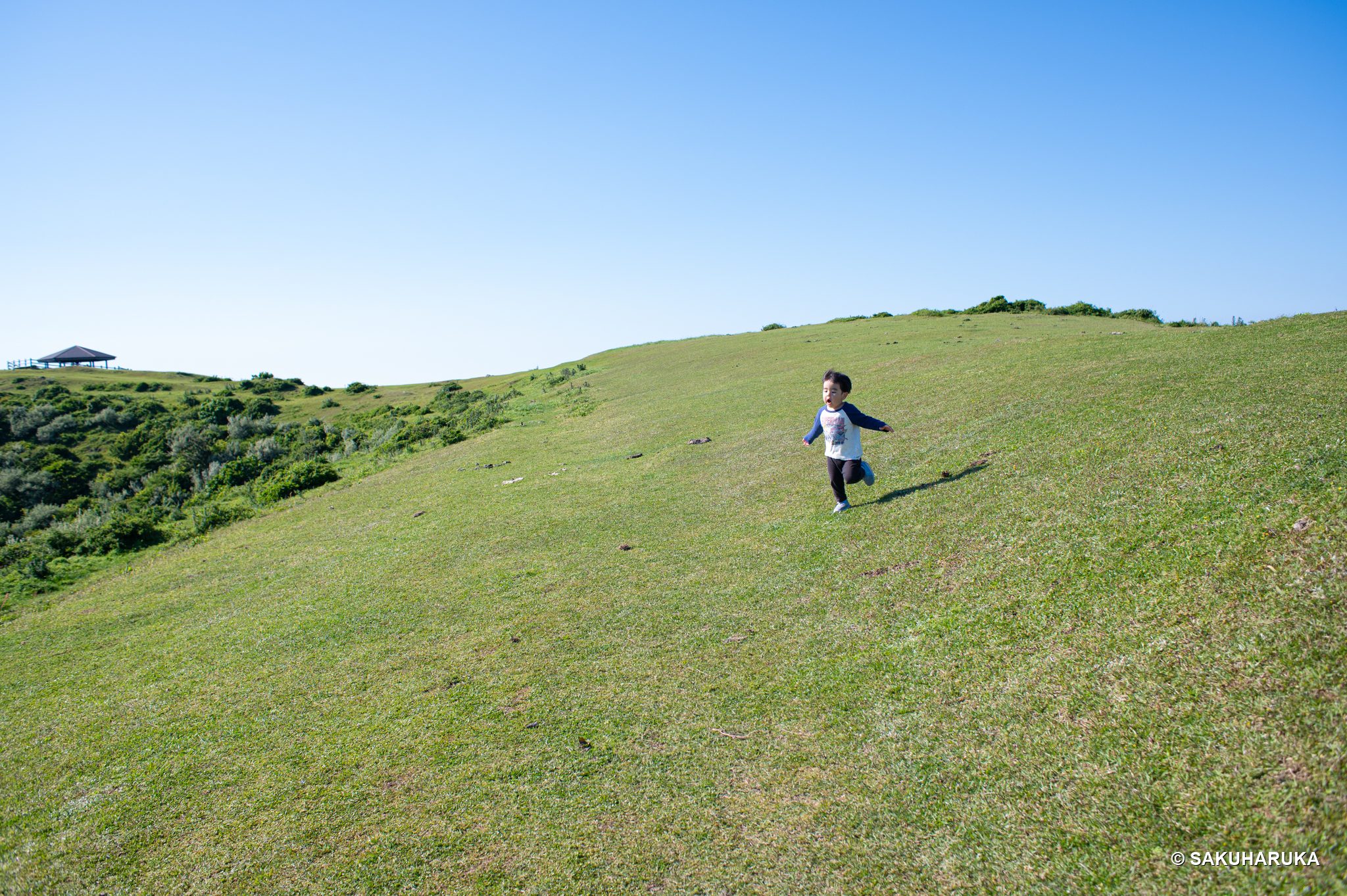 Shimane 34