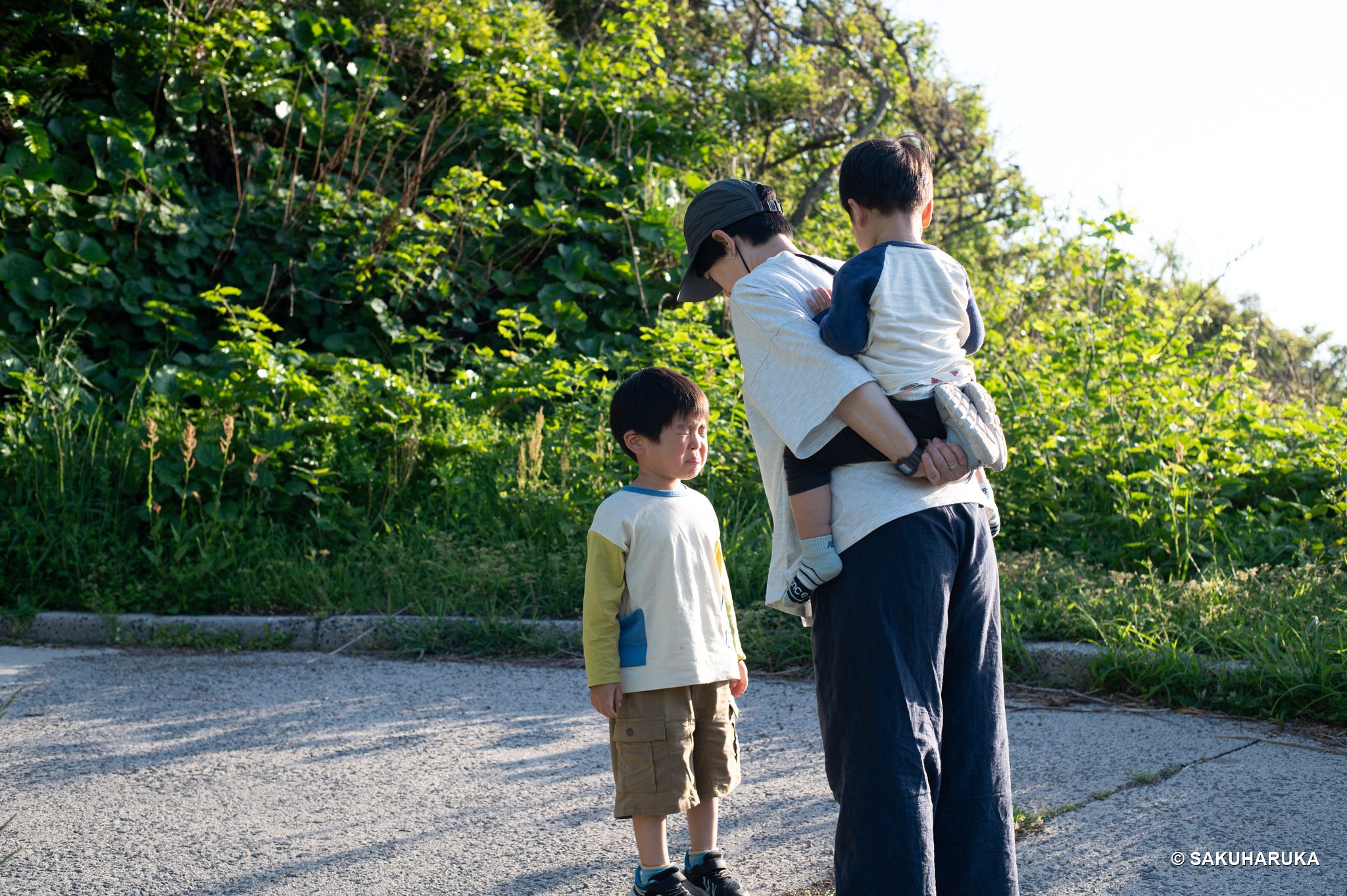 Shimane 37