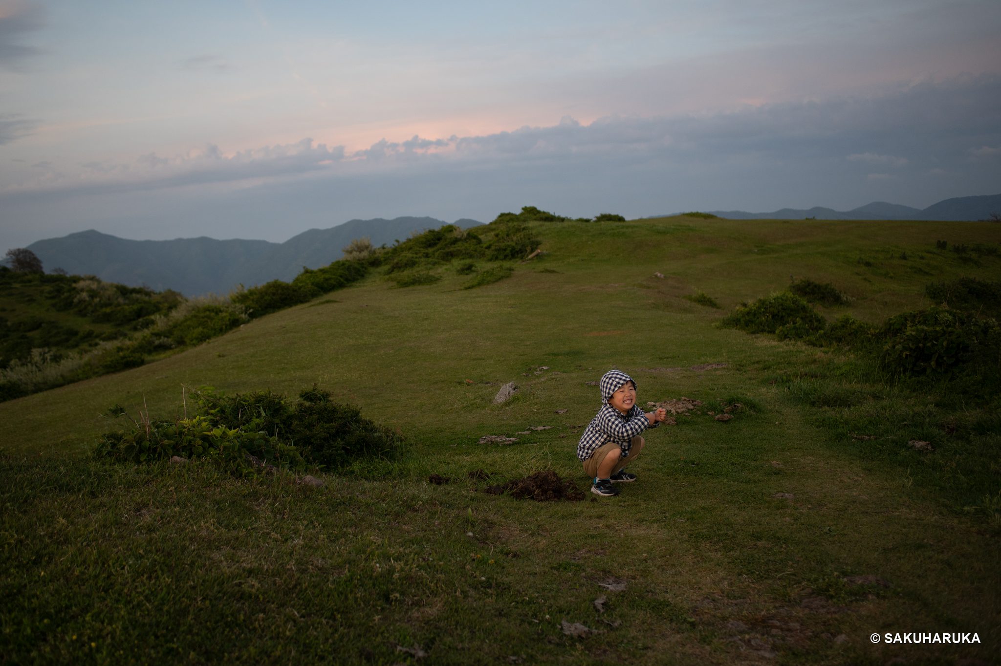 Shimane 49